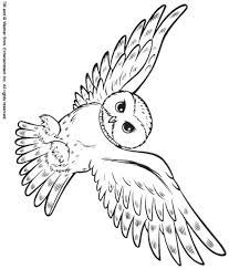Printable owl harry potter coloring page. Back Print This Snowy Owl Color Page Animal Coloring Pages Owl Coloring Pages Harry Potter Owl Snowy Owl