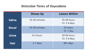 54.8 million people used a medicine containing hydrocodone in the last year. How Long Does Oxycodone Stay In Your System Home Health Testing