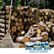 Just be sure to get out there quickly (once the storm has passed and it's safe to do so); 5 Tips To Keep Your Firewood Free Of Pests