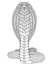 Serpents are found in the ocean. Coloriages A Imprimer Gratuitement