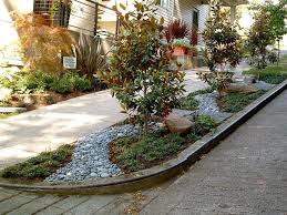 Drought Tolerant Parking Strip Sidewalk Landscaping Front Yard Side Garden