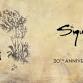 Sigur Ros event image