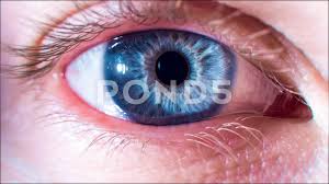 Blue Eye Opens Up And Closes Macro Shot Humanity Purpose Existence Concept 4k Stock Footage Closes Macro Shot Blue Macro Shots Blue Eye Macro
