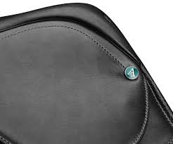 Contextual translation of cair into english. Arena All Purpose Cair English Saddle Arena All Purpose English Saddles Supplies Tack Equine