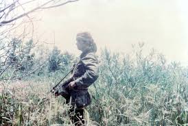 Vietnam War Pictures In Color Navy Seal With A Stoner 63 Vietnam Vietnam War Vietnam Veterans Vietnam History