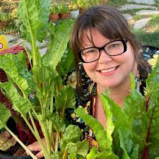 Greenhouse grown cabernet sauvignon research in Virginia