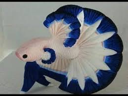 Best Betta Fish Tanks 5 Fish Videos Youtube Tropicalfishtank Betta Fish Tank Betta Fish Pet Fish