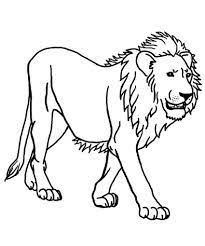 Johanna basford is an illustrator and ink evangelist who prefers pens and pencils to pixels. Printable Lion Coloring Sheets Lion Coloring Pages Coloring Pages Animal Coloring Pages