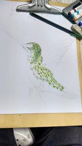 If we find anyone underage, guess what we're gonna do. Art Eco Boceto Y Dibujo De Colibri Ahora Falta La Facebook