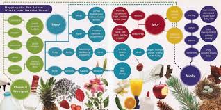 Marijuana Terpenes And Their Effects Alchimia Blog