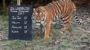 Animals Strike A Pose For London Zoo Stock Count Lbc
