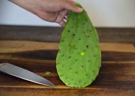 Watch as doctor removes this cactus splinter with ease and quickness. Food Genius Removing Thorns From Nopales Food Literacy Center