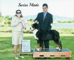 We did not find results for: Regal Bernese Mountain Dog About Us