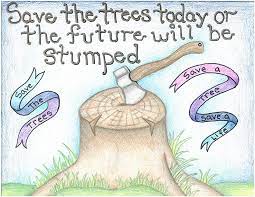 Roundup and winners ~~ earth day is finally upon us, which means it's time to announce the winners of our earth day poster contest! Celebrate Earth Day Poster Contest Winners Announced Gateway Technical College