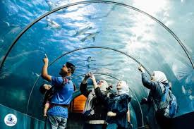 Tempat wisata di jogja tidak hanya wisata budaya dan sejarah, lho! Tiket Underwater World Langkawi Harga Promo 2021 Di Traveloka Xperience