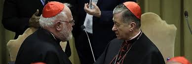Der erzbischof von münchen, kardinal reinhard marx, hat papst franziskus seinen rücktritt der münchner kardinal reinhard marx fordert von der katholischen kirche mut zur erneuerung. Kardinal Marx Spricht Auf Dem Anti Missbrauchsgipfel In Rom Domradio De Katholische Nachrichten