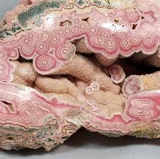 Image result for Rhodopentas