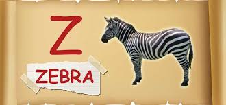Learn Alphabets A For Apple B For Ball To Z For Zebra