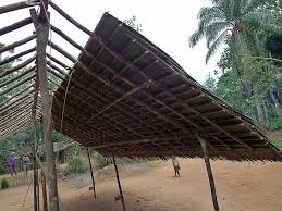 Image result for Raphia gentiliana