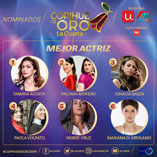 Participación en copihue de oro asistiendo en maquillaje a angélica castro y leo caprile (animadores) en el teatro caupolicán. Conoce A Todos Los Nominados Para El Copihue De Oro 2019