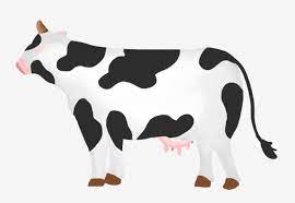 Muat turun percuma fail lembu hitam dan putih png/psd grafik berkualiti tinggi terbaru, nombor lovepik grafik ini adalah 401216684, kategori adalah png, ukurannya 2.7 mb. Gambar Lembu Digambar Tangan Lembu Hitam Clipart Lembu Putih Susu Png Dan Psd Untuk Muat Turun Percuma