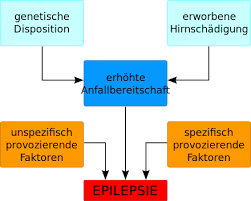 Epilepsie Wikipedia