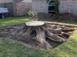 Each of these 6 common techniques is easy even if you've never worked on a tree stump before. How Do I Tackle Removing A Tree Stump From My Garden Remove Tree Stump Tree Stump Removal Tree Stump