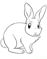 Meerschweinchenstall aus holz meerschweinchen stall für ihre meerschweinchen meerschweinschenstall günstig online kaufen. 150 Kaninchen Ideen Kaninchen Kaninchengehege Kaninchenkafig