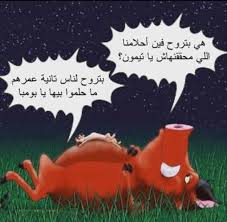 هي بتروح فين احلامنا اللي محققنهاش يا تيمون بتروح لناس تانية عمرهم ما حلموا بيها يا بومبا Christmas Ornaments Holiday Decor Novelty Christmas