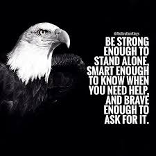 Pin By Frieda Christ On Quotes Badass Quotes Eagles Quotes Wisdom Quotes