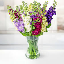 Showing 1 thru 48 of 90 purple flowers items. British Stocks B M Flowers