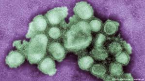 But as with any vaccine, those inflammatory chemicals also can cause side effects. As Covid 19 Vaccines Arrive Europe Looks Back At Swine Flu Side Effects Science In Depth Reporting On Science And Technology Dw 03 12 2020