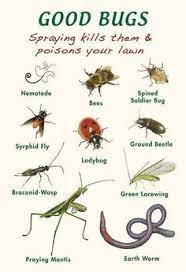 On the other hand, pest control professionals have the training, expertise and technology. 14 Interesting Facts Ideas Termite Control Pest Control Termites