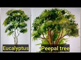 How To Draw And Paint Eucalyptus And Peepal Tree In Acrylic Youtube