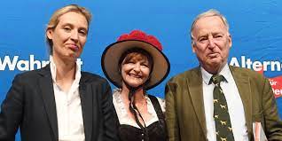 Alice weidel kündigt bei markus lanz an, dass sie gemeinsam mit tino chrupalla als spitzenteam antreten und die afd in den. Afd Und Ehe Fur Alle Vorauseilende Islamisierung Taz De