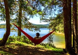 Jungle hammock detailsthe jungle hammock is great when you need protection from biting strong, simple and reliable, this hammock is the perfect solution to an undisturbed night's sleep. 12 Best Camping Hammocks For Beginners Budget To Premium Gudgear