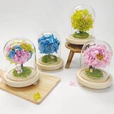 Get high quality flowers for a cheaper price, make sure to check out their listings on the website. A Guide To Affordable Flowers Bloomback Singapore