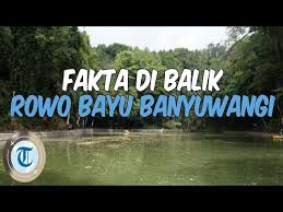 Kompas.com/nazar nurdin bendungan gunung rowo di pati, jawa tengah. Net Jatim Wisata Unik Di Kampung Primitif Banyuwangi Travelerbase Traveling Tips Suggestions