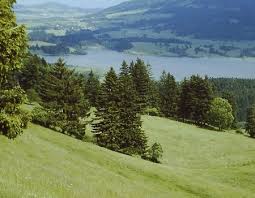 3.66 km and takes 01:13 h. Rundtour Vom Gruntensee Zur Buronhutte Gps Wanderatlas