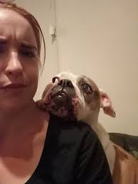 Do parrots get along with dogs?