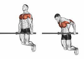 How to use dip in a sentence. What Muscles Do Dips Work Fitlifefanatics