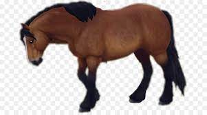 Antrumperforation, auch eröffnung der kieferhöhle) versteht man eine (physiologisch nicht vorhandene) iatrogen entstandene verbindung zwischen der mundhöhle (lat. Star Stable Stute Hengst Pony Fohlen Star Stable Bearbeitet Png Herunterladen 733 492 Kostenlos Transparent Pferd Png Herunterladen