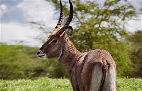 Hell's Gate National Park in Naivasha ...