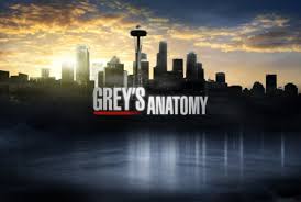 Image result for greys anatomy