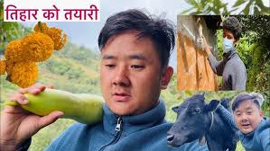 Tihar Ko Lagi Ghar Haru Chhyapdai