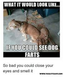 Pin By Jackie On Fantastic Sarcastic Quotes In 2020 Dog Quotes Funny Cute Funny Animals Funny Husky Meme