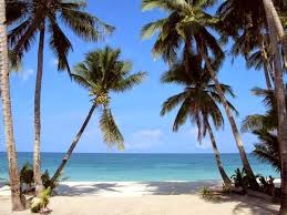 A stay at the baga beach resort also comes with easy access to the neighborhoods around the hotel through the convenient shuttle service offered at the resort. Baga Beach Panjim Timings Water Sports Best Time To Visit
