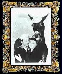 4.5 out of 5 stars. Francis The Talking Mule