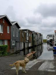 Voor iedereen die kropswolde een warm hart volgende week is de collecte van kwf kankerbestrijding, ook in kropswolde. Wikiloc Picture Of Kropswolde Langs Het Strand En De Kropswolderbuitenpolder 1 6