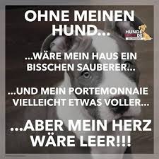 Wundern darf es mich nicht, dass manche die hunde verleumden; 180 Hunde Spruche Ideen In 2021 Hunde Hund Zitat Hundespruche